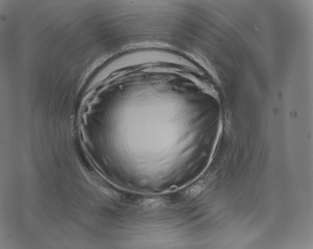X0000074220111200609151631