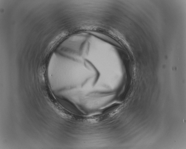 X0000074220114200609151631