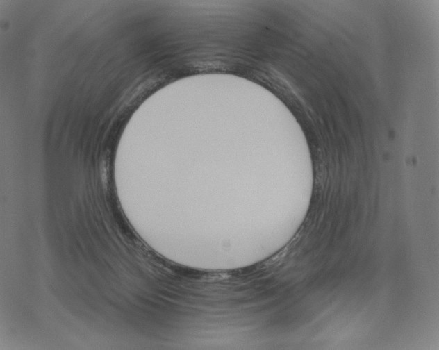 X0000074220124200609151631