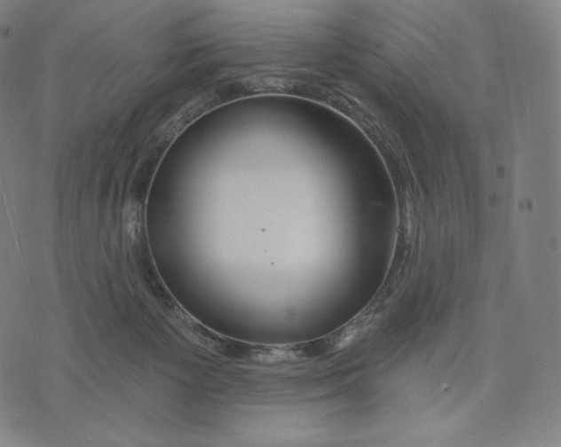 X0000074220125200609151631
