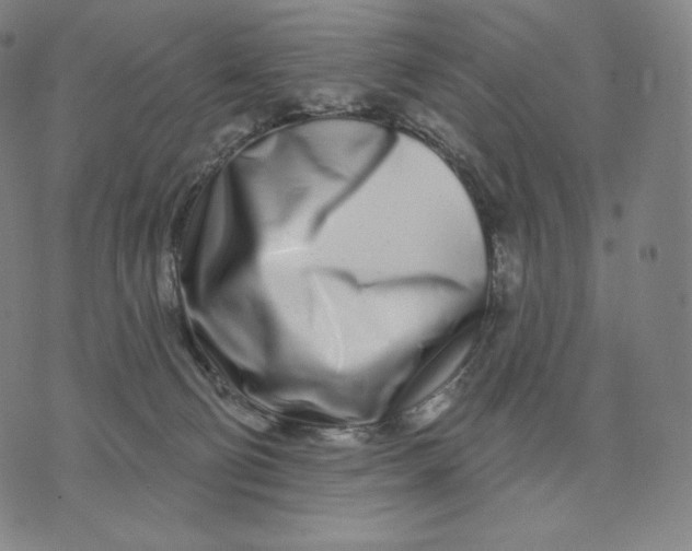 X0000074220130200609151631