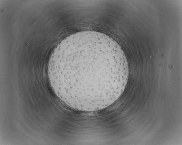 X0000074220131200609151631