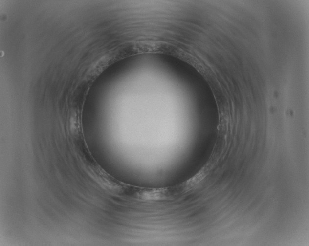 X0000074220134200609151631