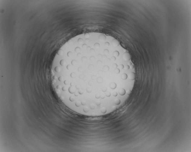 X0000074220135200609151631