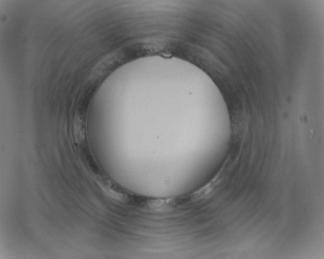 X0000074220136200609151631