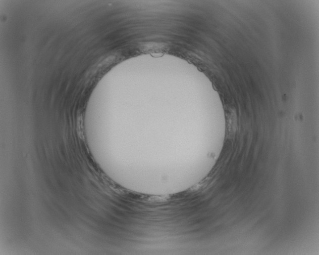 X0000074220138200609151631