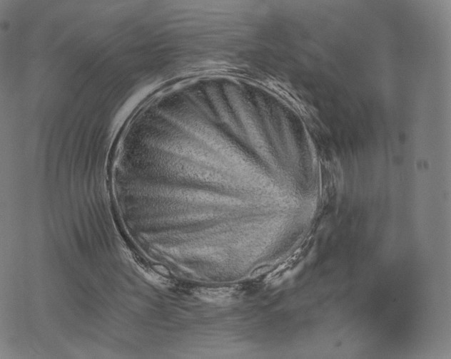 X0000074220147200609151630