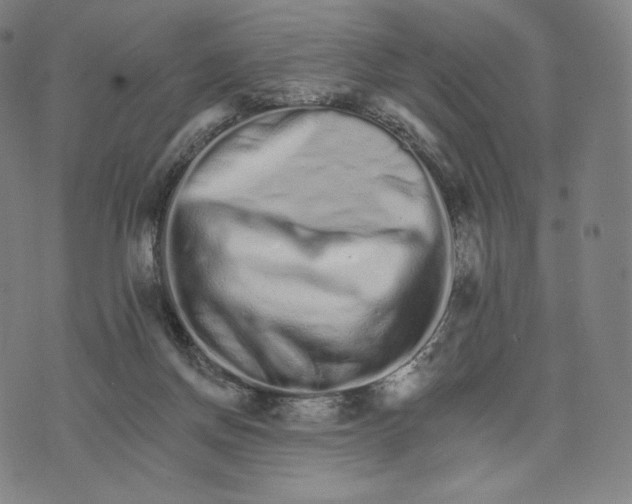X0000074220166200609151630