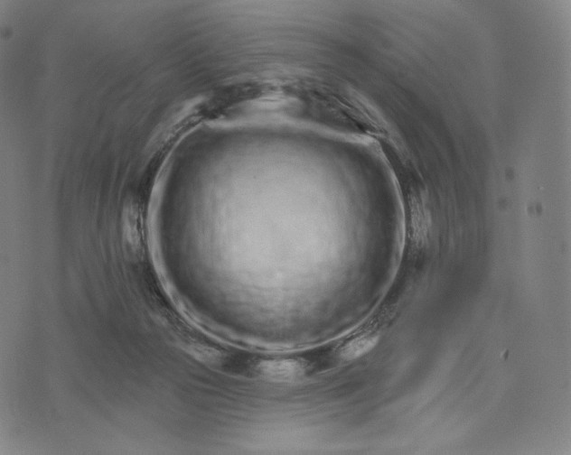 X0000074220169200609151630