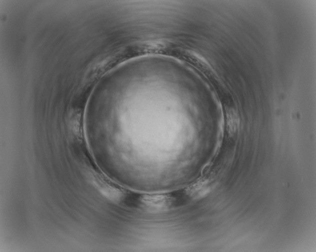 X0000074220181200609151630
