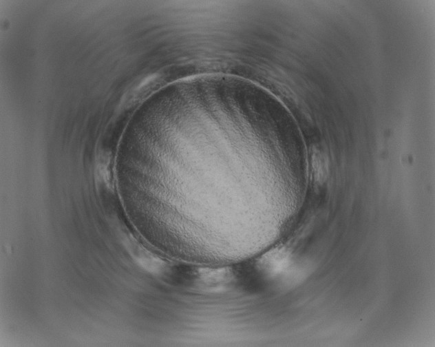 X0000074220185200609151630