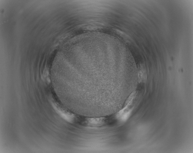 X0000074220187200609151630