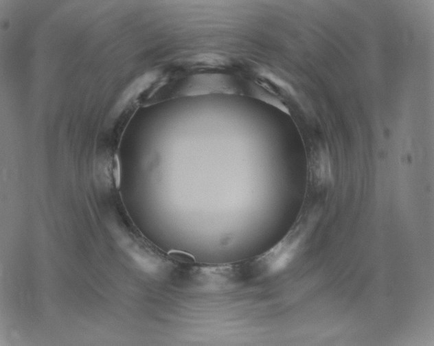 X0000074220188200609151630