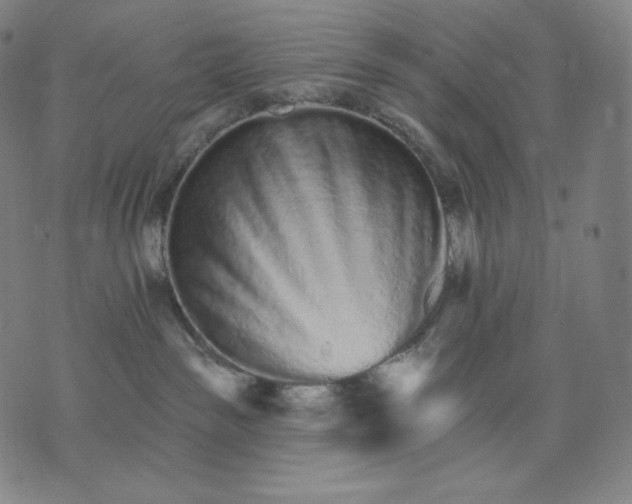X0000074220189200609151630