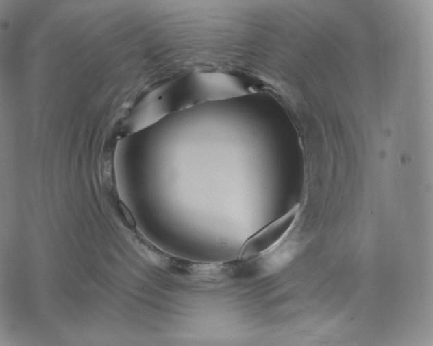 X0000074220192200609151630