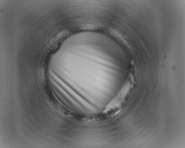 X0000074220211200609151629