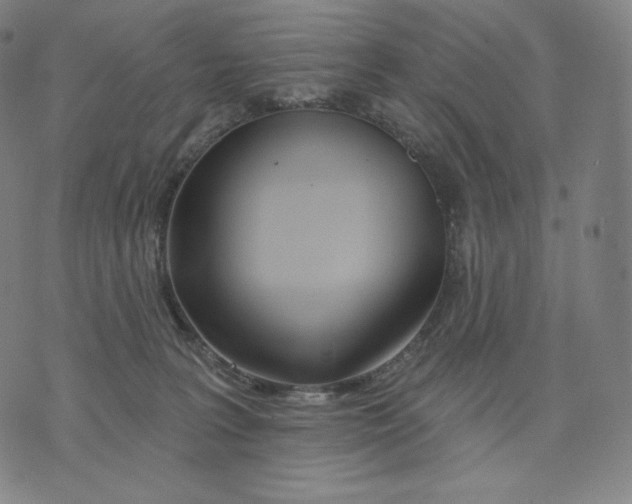 X0000074220227200609151629