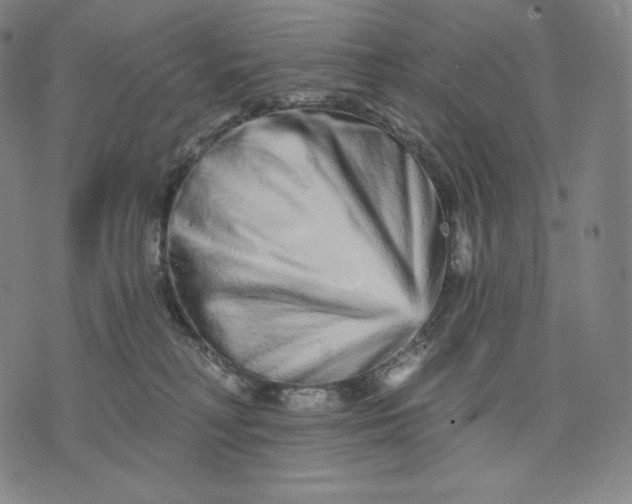 X0000074220230200609151629