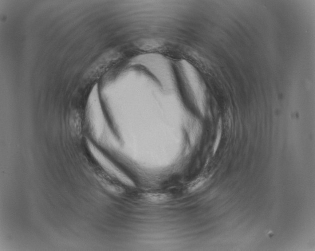 X0000074220234200609151629