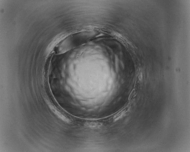 X0000074220242200609151628