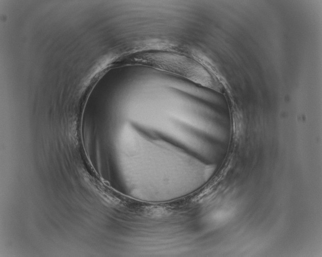 X0000074220249200609151628