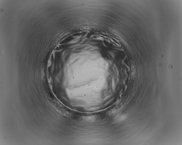 X0000074220259200609151628