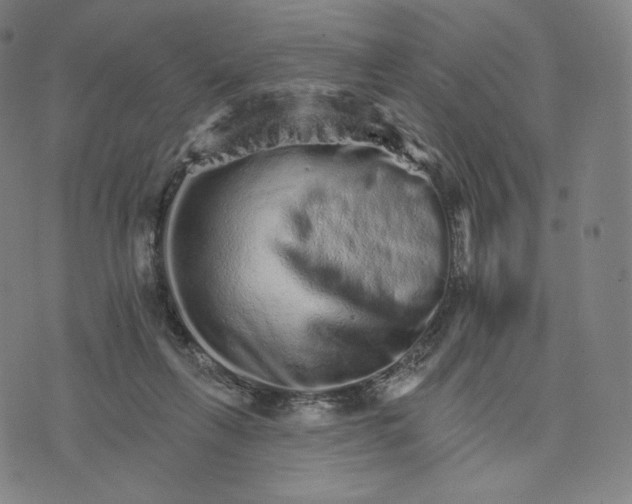 X0000074220263200609151628