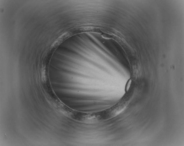 X0000074220267200609151628