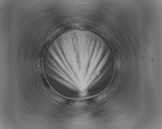 X0000074220270200609151629