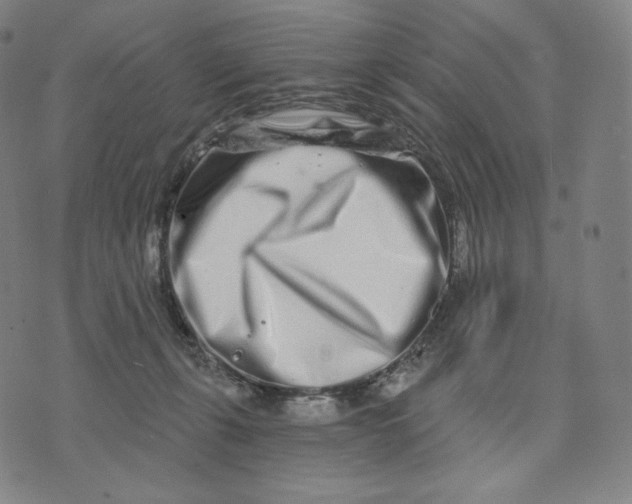 X0000074220271200609151629