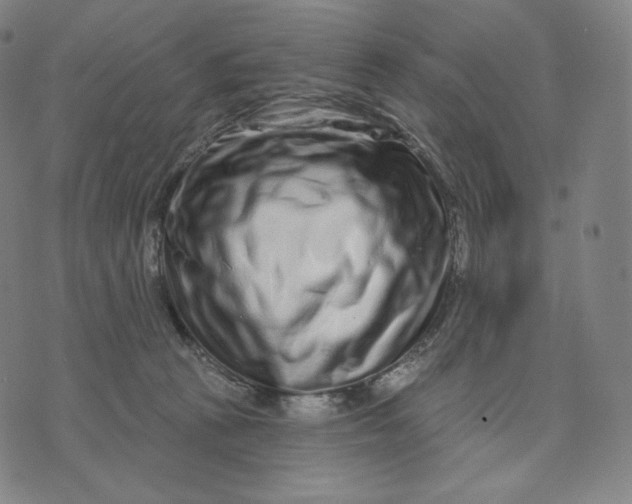 X0000074220273200609151629