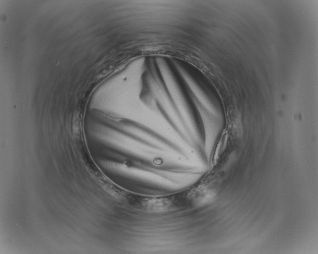 X0000074220277200609151629