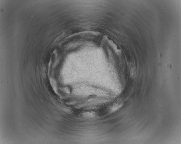 X0000074220279200609151629