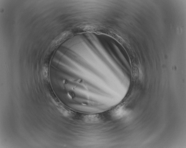 X0000074220281200609151629