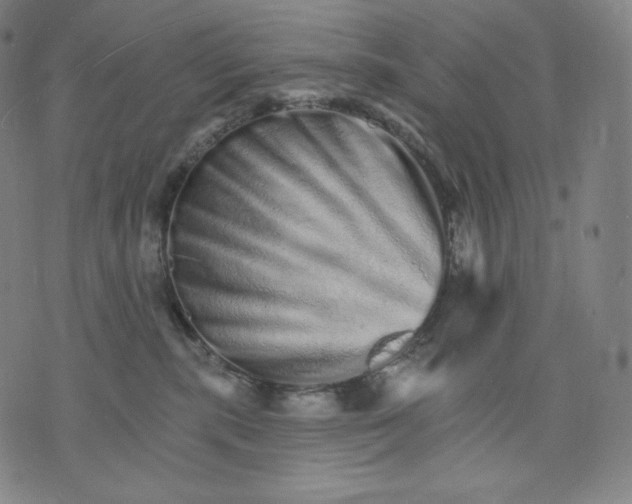X0000074220283200609151629