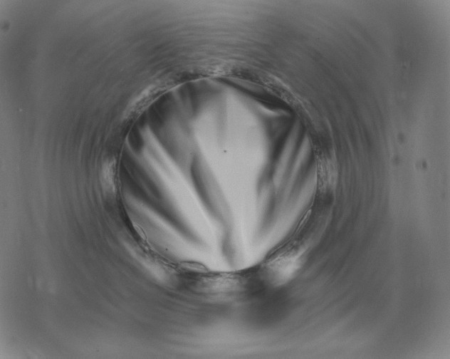 X0000074220286200609151629