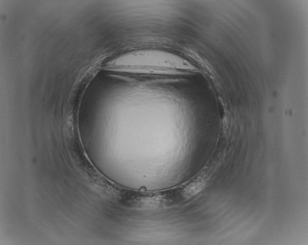 X0000074220306200609151628