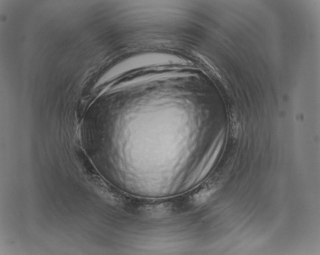X0000074220307200609151628