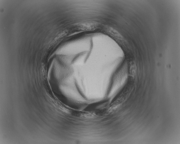 X0000074220318200609151628