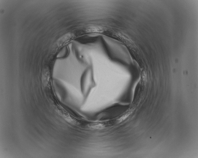 X0000074220322200609151628