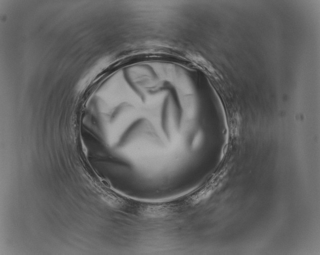 X0000074220341200609151627