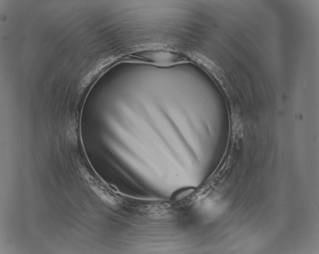 X0000074220345200609151627