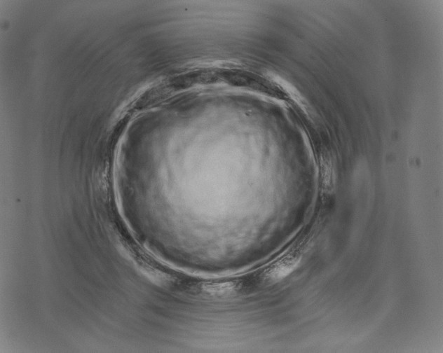 X0000074220357200609151627