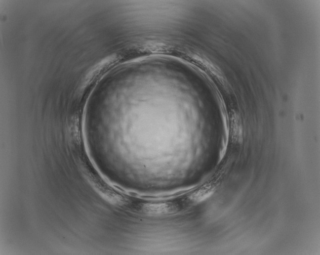 X0000074220361200609151627