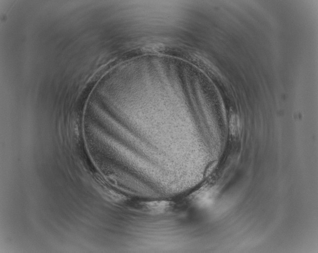 X0000074220363200609151627