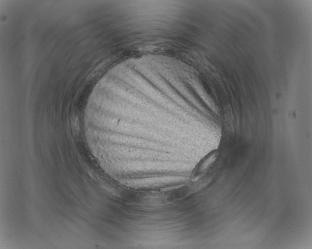 X0000074220375200609151627