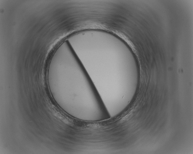 X0000074220391200609151626
