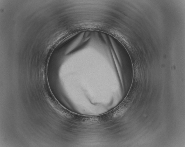 X0000074220398200609151626