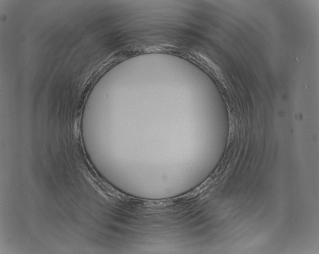 X0000074220405200609151626