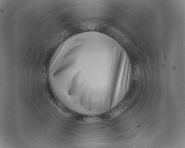 X0000074220414200609151626